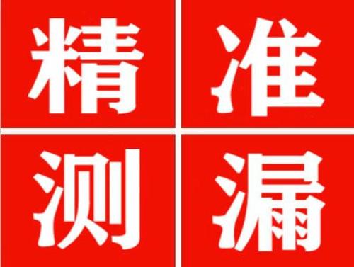 龙泉尚嘉漏水精准查找