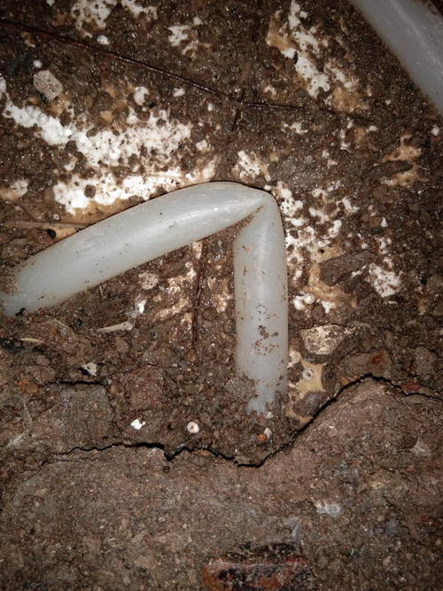 龙泉堵点精准查找